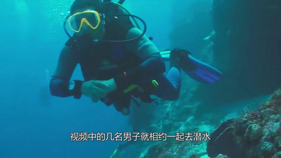 宜宾翠屏:茶园冬季管护忙 茶企新发展激发产业新动能